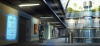 New York Downtown 2072 