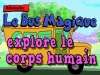 Le Bus Magique explore le corps humain