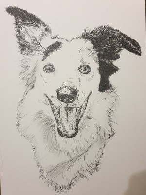 Deuxième dessin : je suis content, on retrouve la pétillance de mon chien. Un monde de différence.